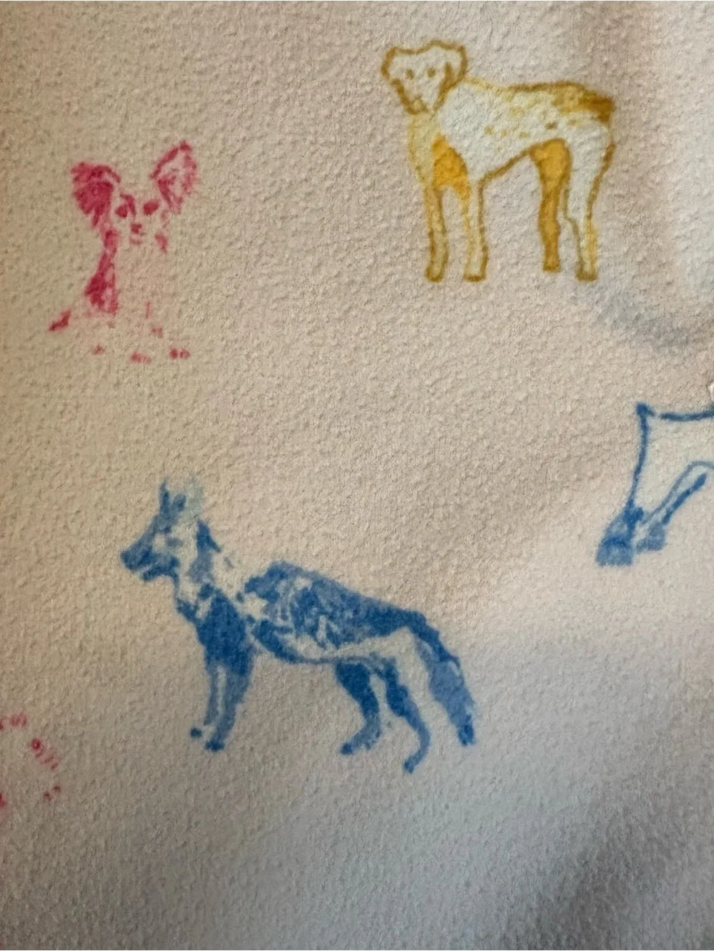 SweetHoney multicolored dog